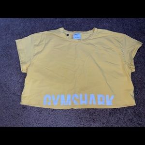 Gymshark Fraction Crop Top